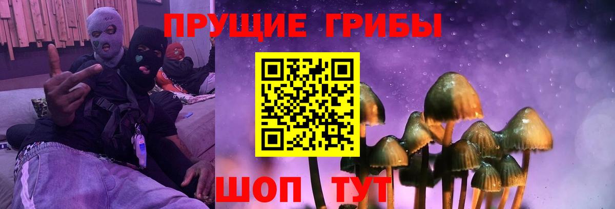 Псилоцибиновые грибы ЛСД  Галлюциногенные грибы Magic Shrooms  Кинель  Вход с VPN 